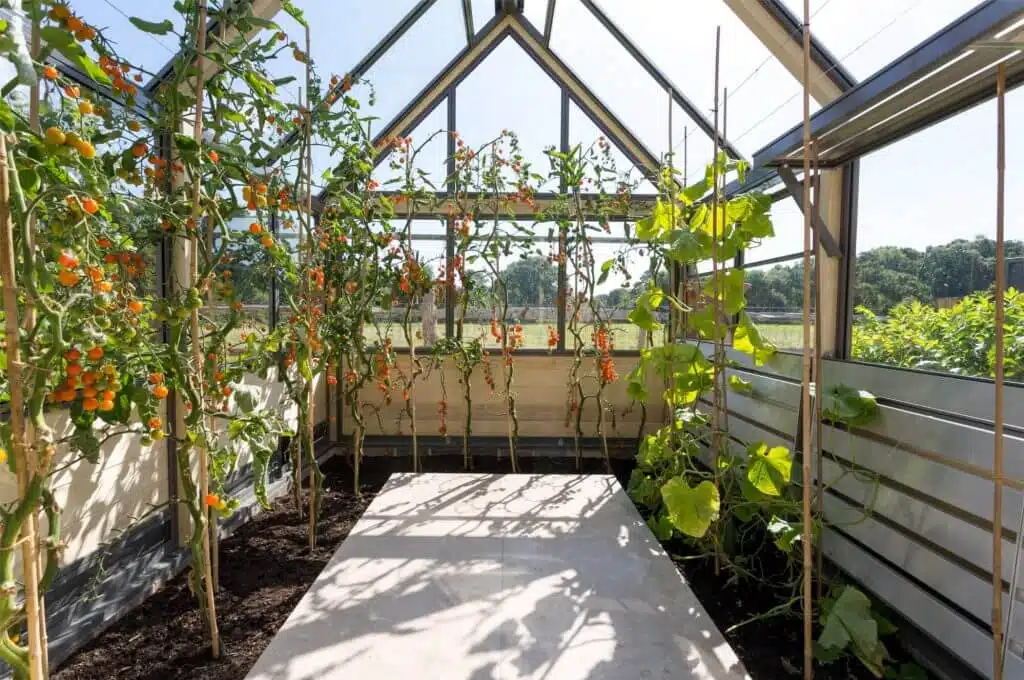 Bespoke glasshouse Gallery Image