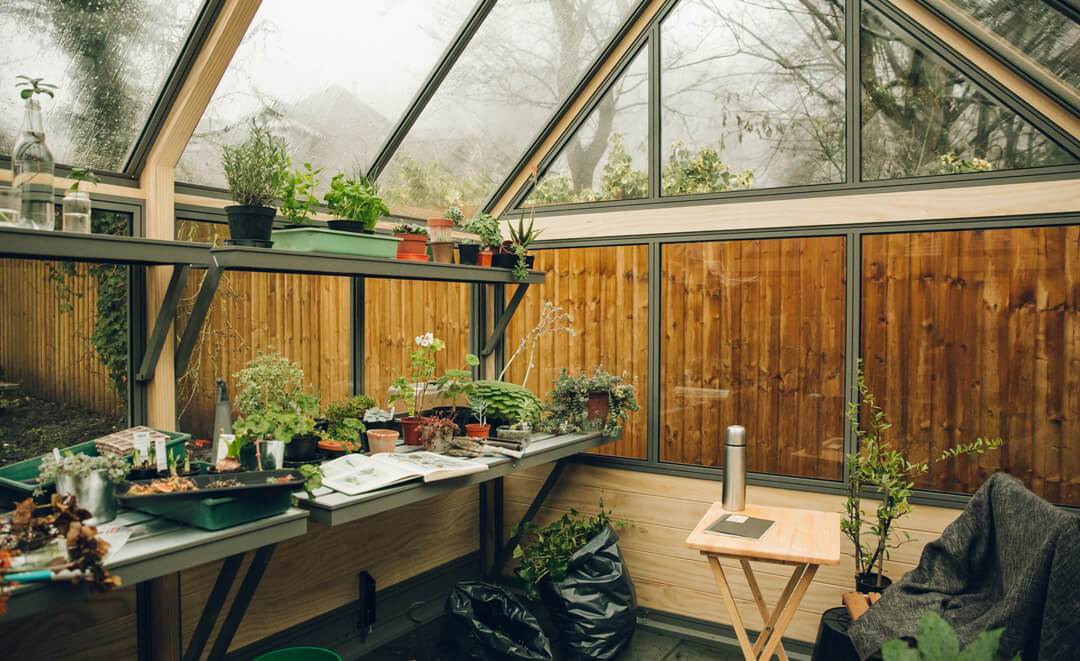 High Specification glasshouse