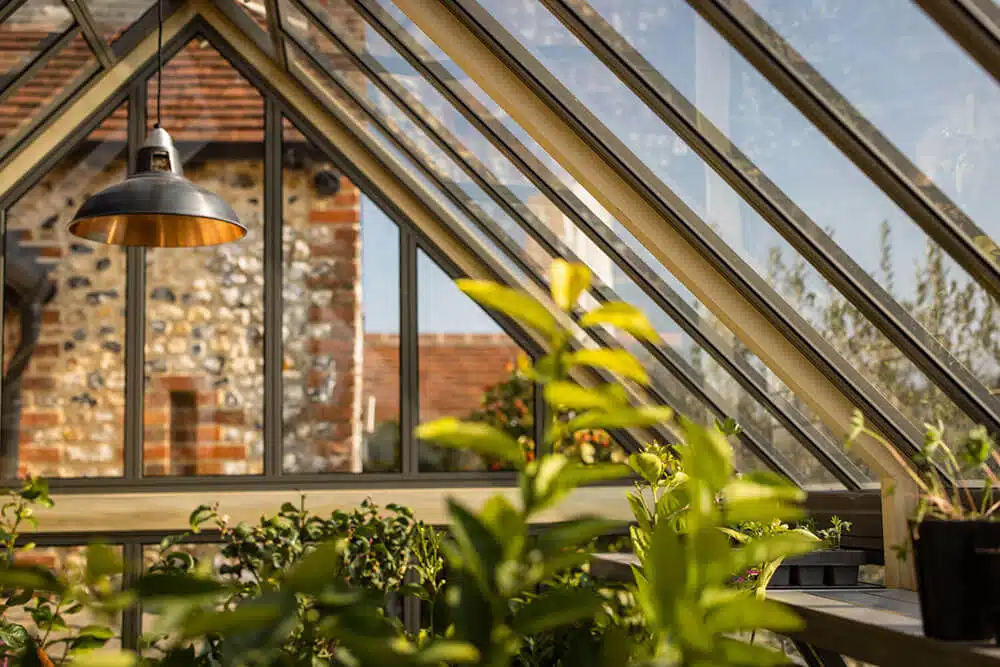 Inside view of Glasshouse