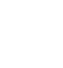 white bulb icon