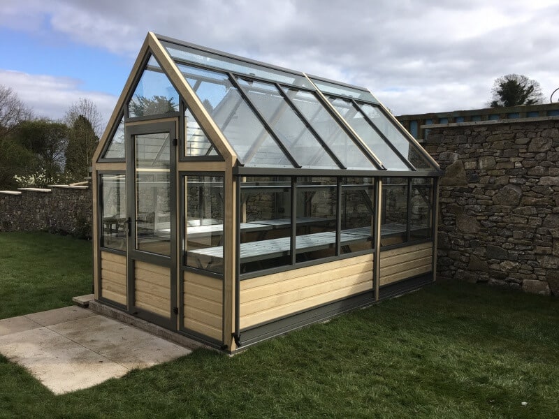 A Modern Greenhouse Cultivar