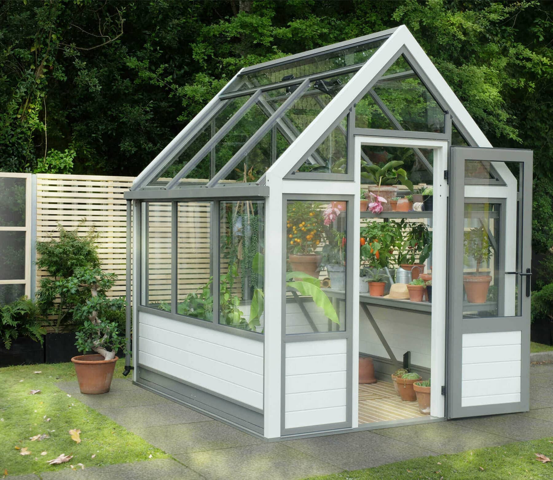 small aluminium greenhouse