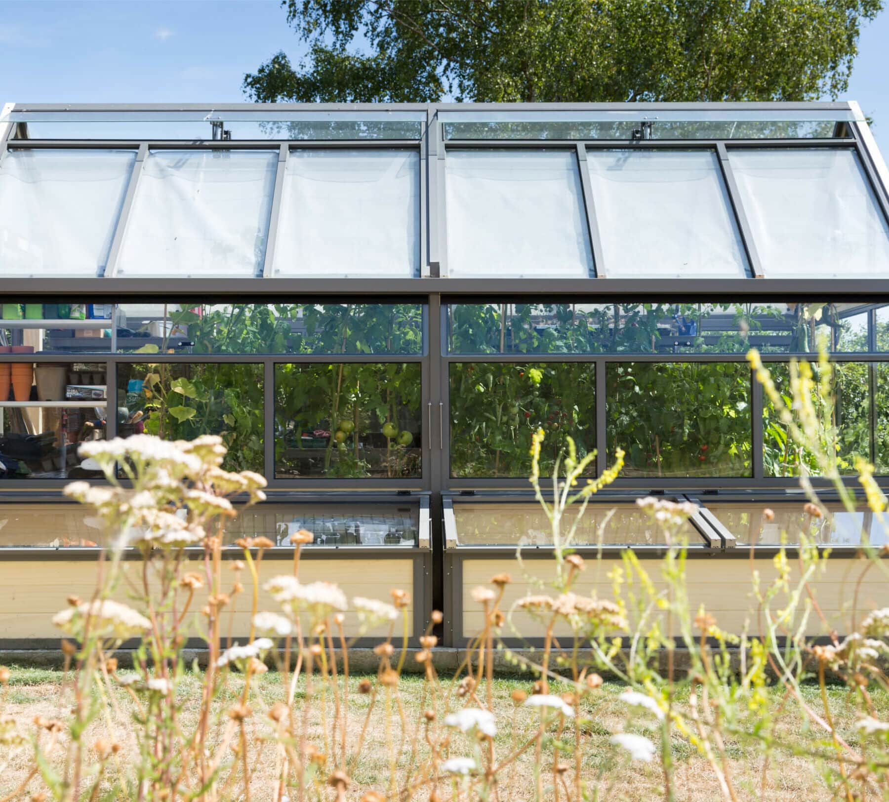 coldframes