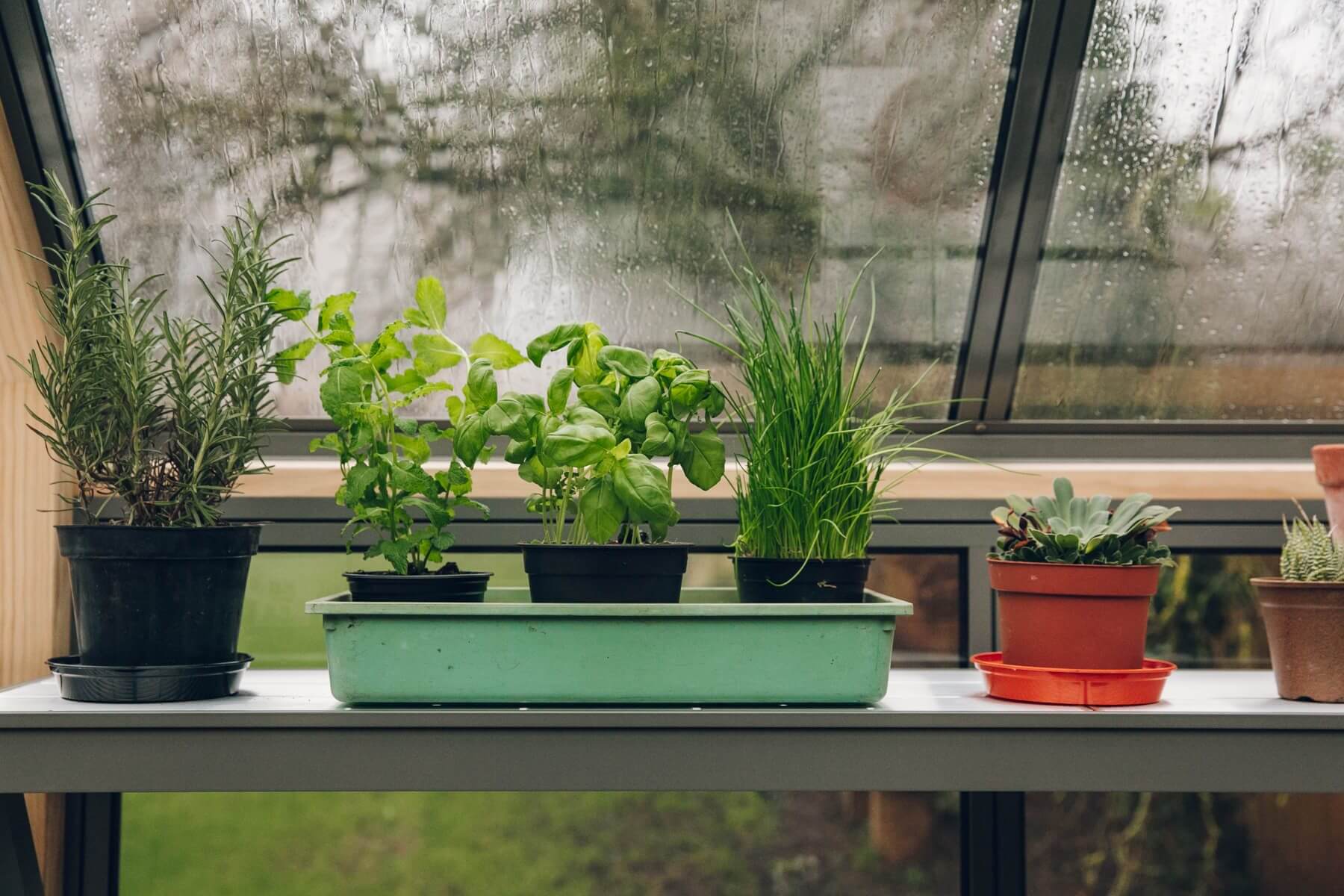 shelving, greenhouse shelf
