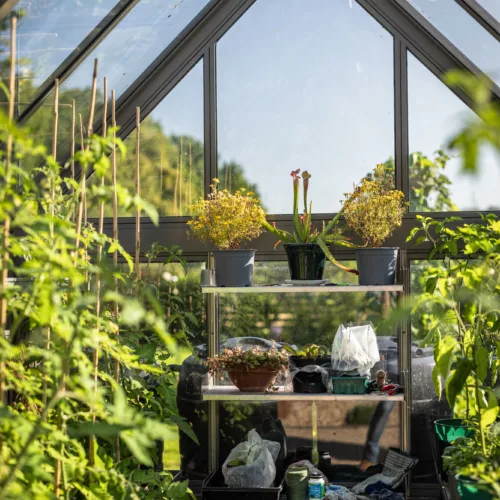 Creating a Garden Oasis