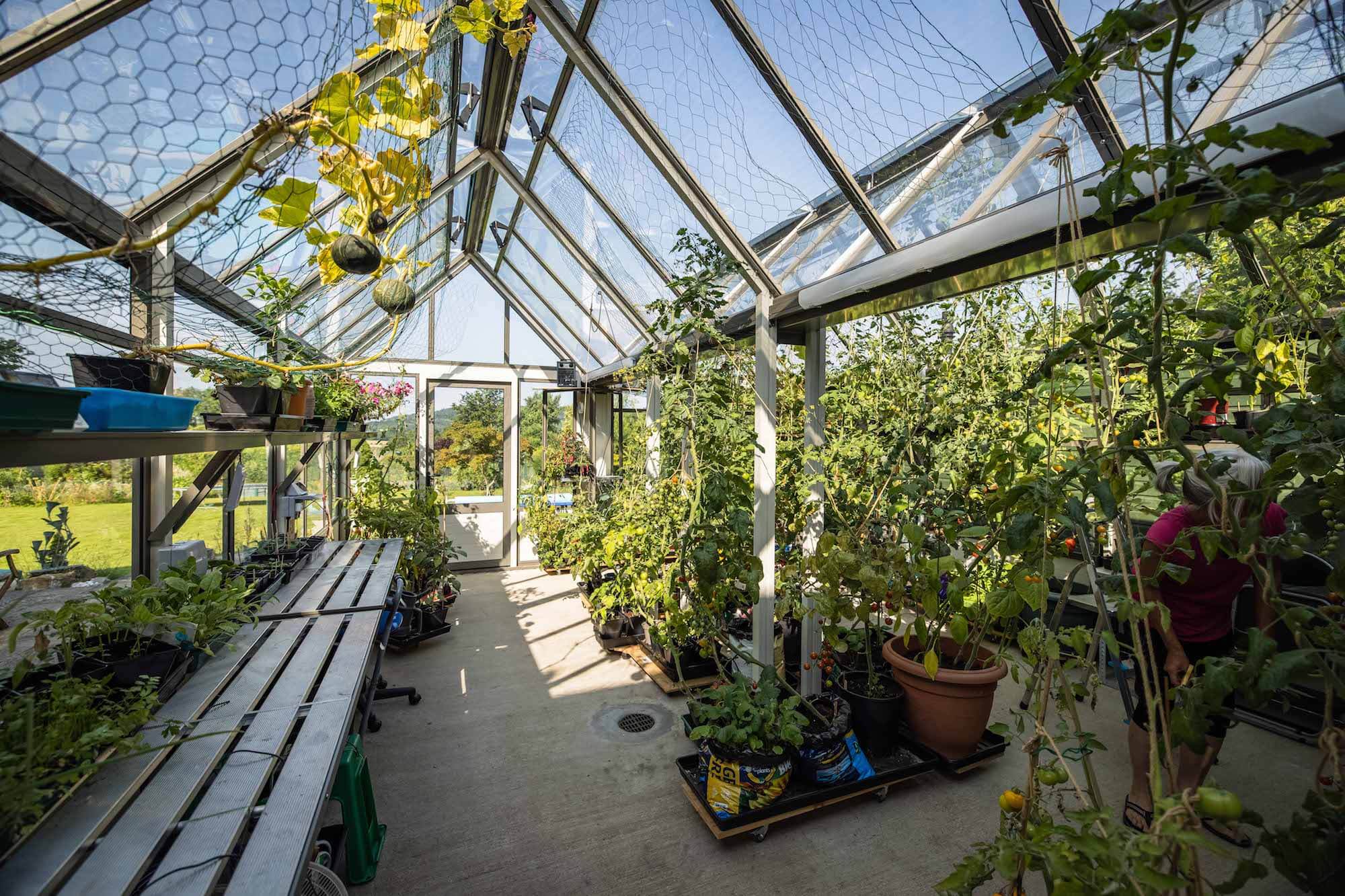 Cultivar Bespoke Greenhouse