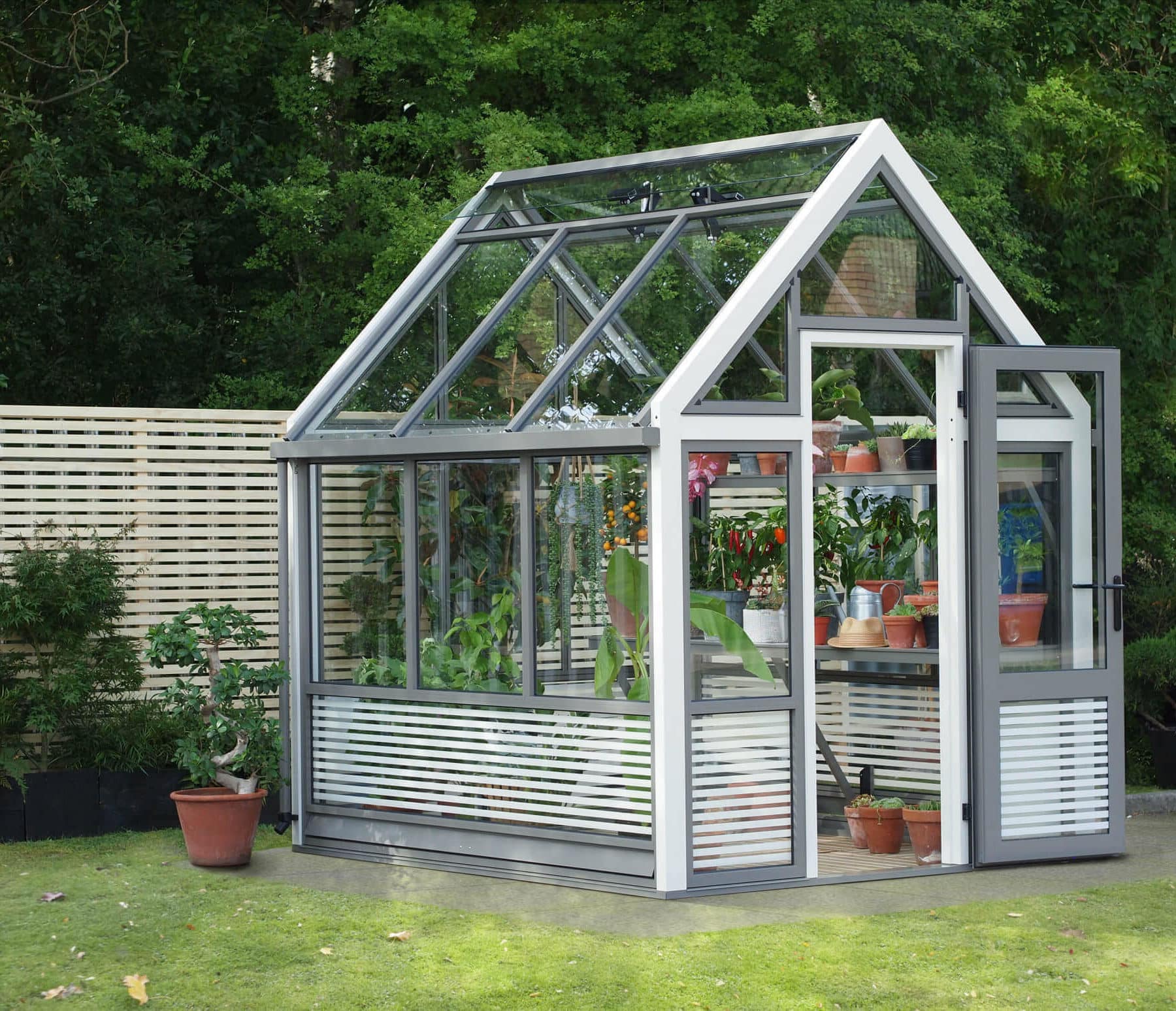 small greenhouse,modern greenhouse